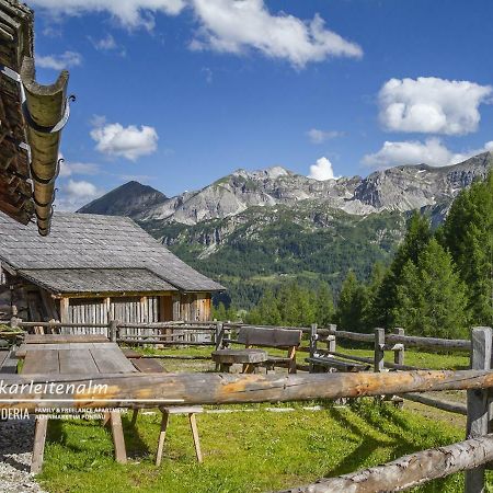 Powderia Family & Freelance Apartment In The Centre Of Ski Amade Altenmarkt im Pongau Ngoại thất bức ảnh